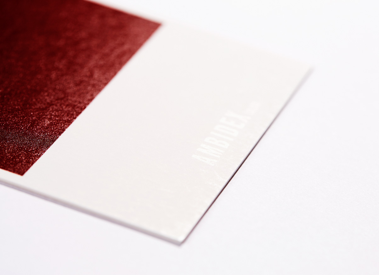 AMBIDEX 2012 AUTUMN EXHIBITION DM