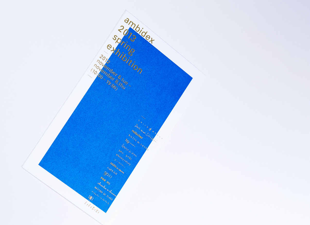 AMBIDEX 2013 SPRING EXHIBITION DM