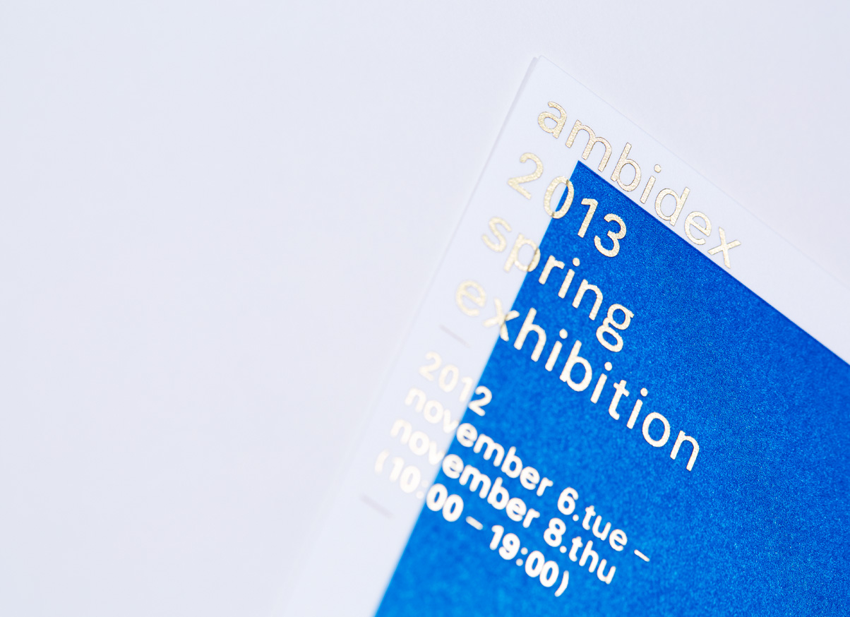 AMBIDEX 2013 SPRING EXHIBITION DM