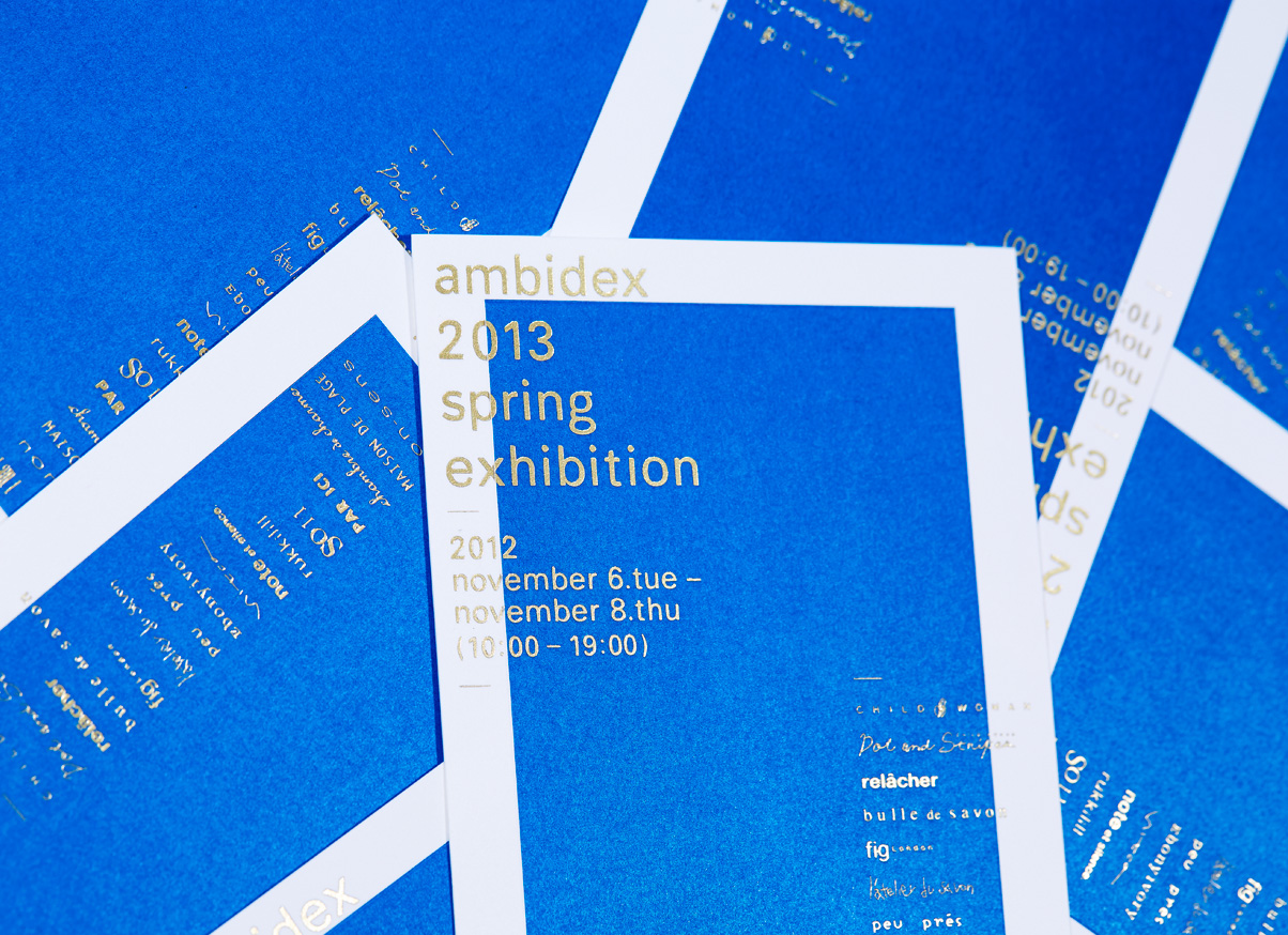 AMBIDEX 2013 SPRING EXHIBITION DM