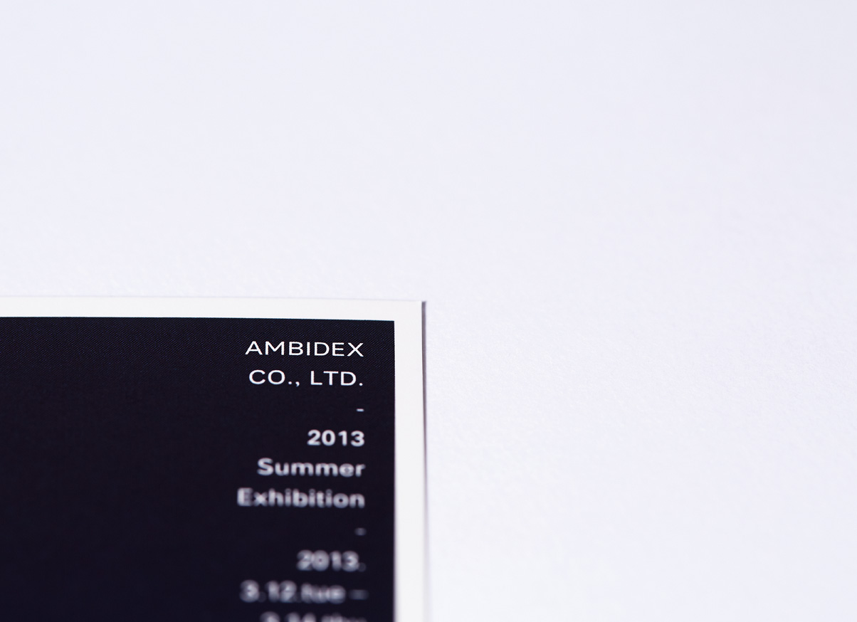 AMBIDEX 2013 SUMMER EXHIBITION DM