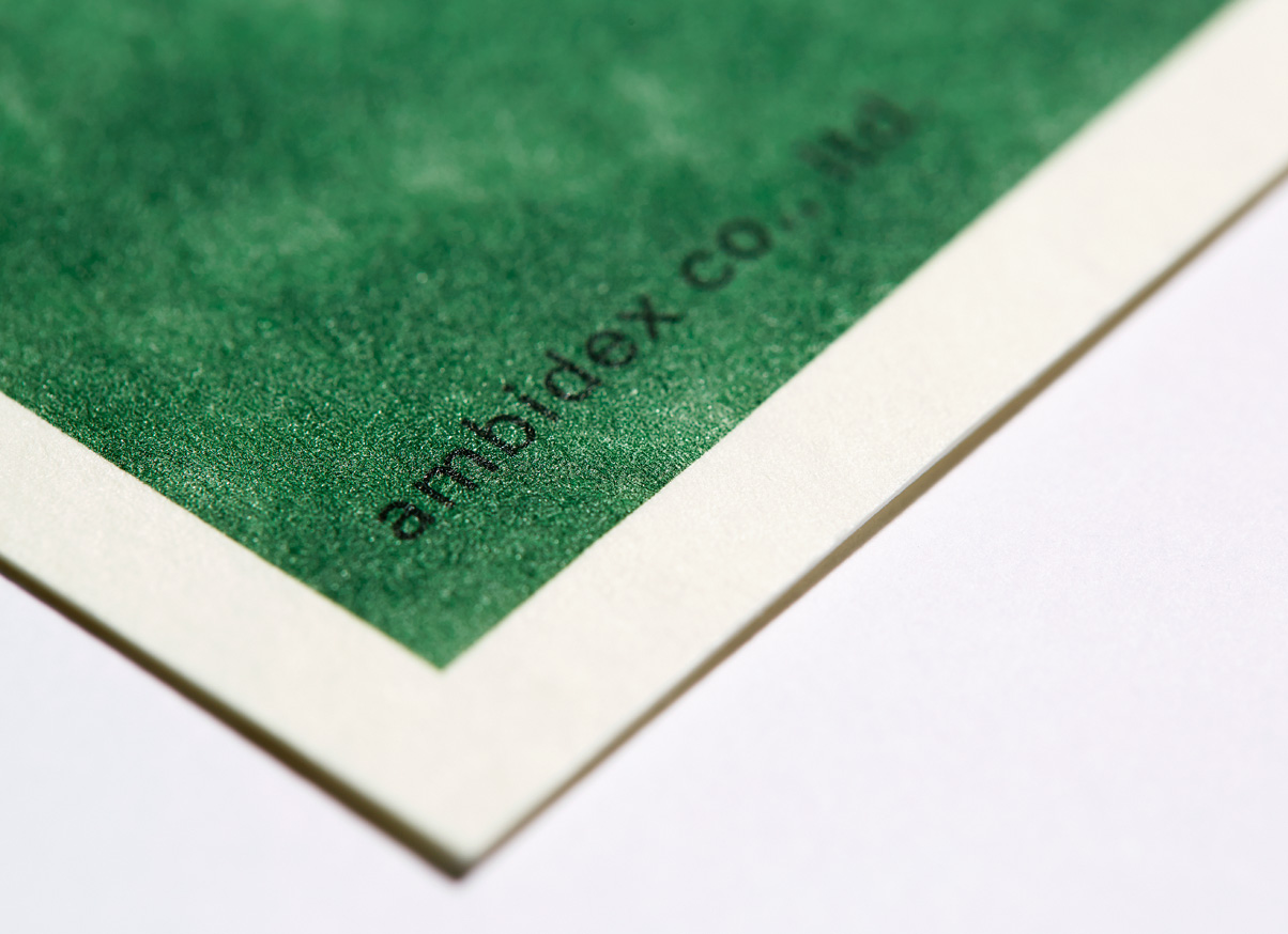 AMBIDEX 2013 AUTUMN EXHIBITION DM